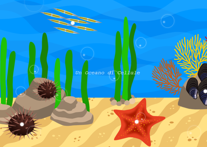 Booking System Image